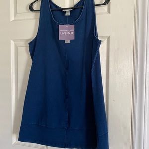 Christopher and back blue Jean dress